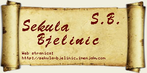 Sekula Bjelinić vizit kartica